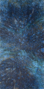 『現象』2016 Ⅱ-B-1 30×15×3.1cm